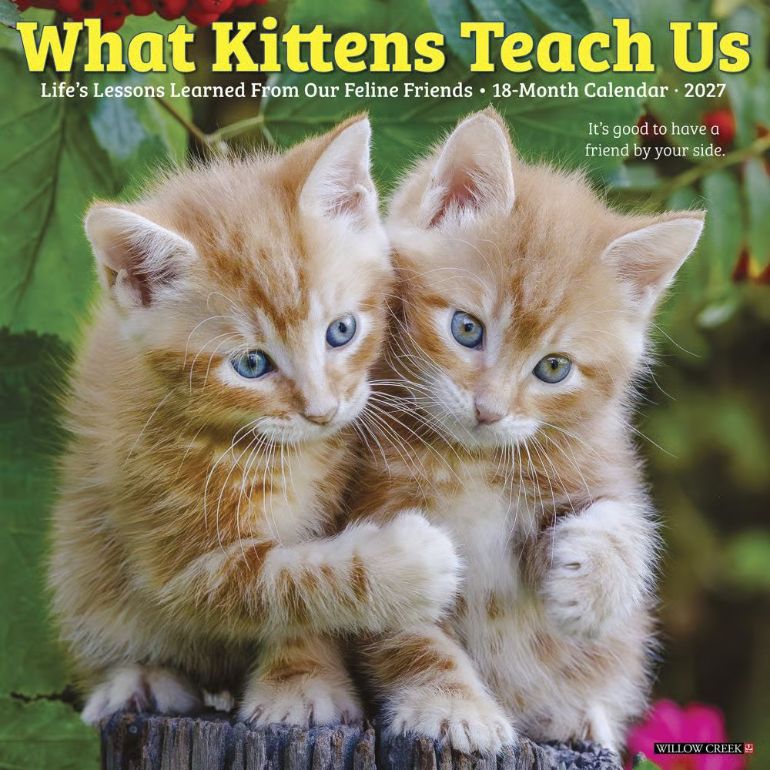 What Kittens Teach Us 2027 Wall Calendar
