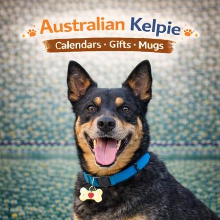 Australian Kelpie Store
