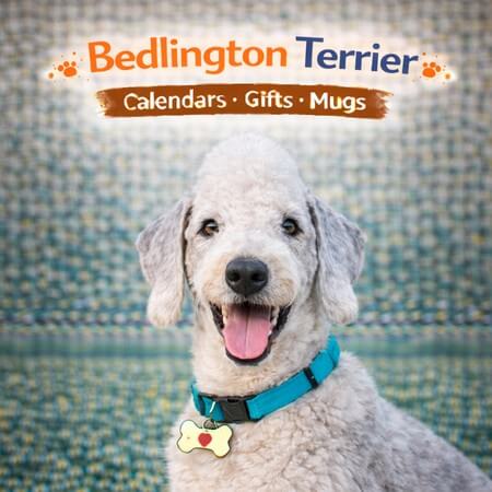 Bedlington Terrier Calendars