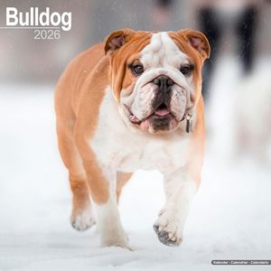 Bulldog Calendars