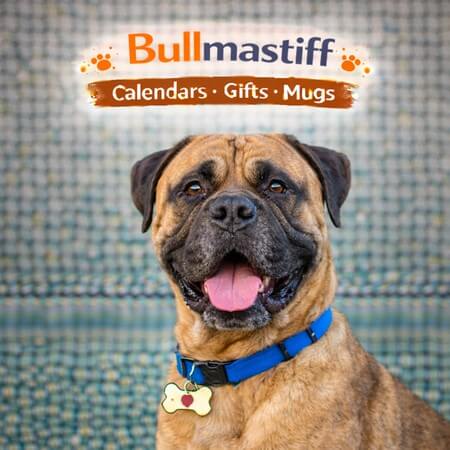 Bullmastiff Store