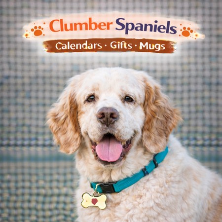 Clumber Spaniel Store and Gifts