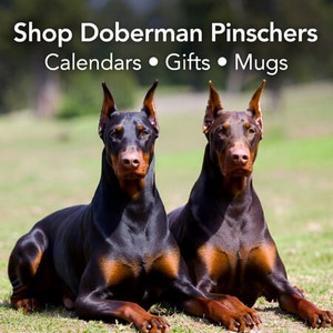 Doberman Pinscher Store