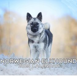 2025 Norwegian Elkhound Calendar