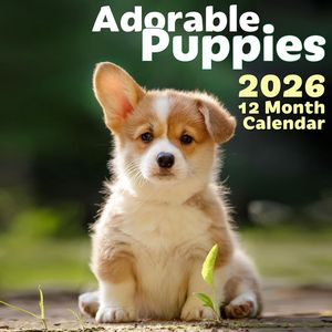 Adorable Puppies 2026 Wall Calendar