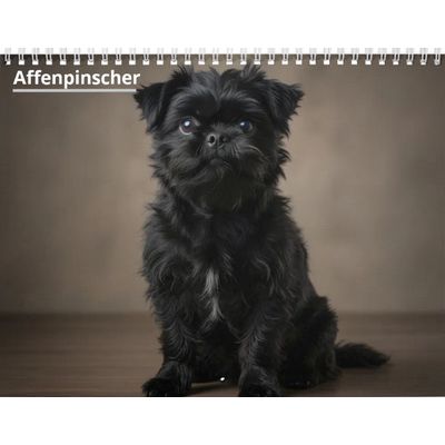 Affenpinscher 2027 Calendar