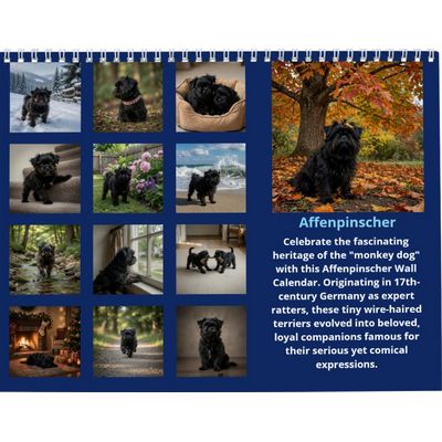 Affenpinscher 2027 Calendar