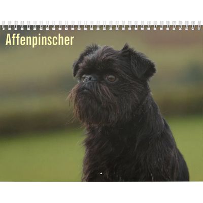 Affenpinscher 2027 Calendar
