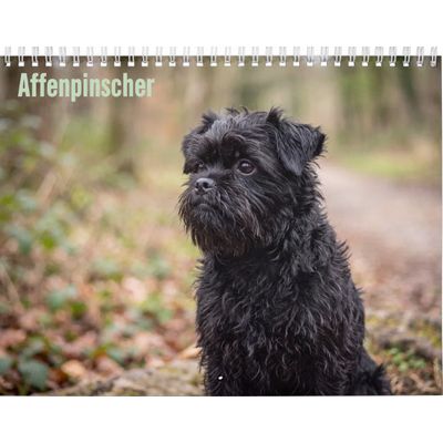 Affenpinscher 2027 Calendar
