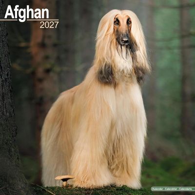 2027 Afghan Calendar