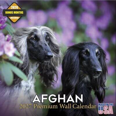 2027 Afghan Calendar