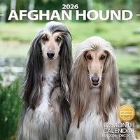 2026 Afghan Hound Calendar