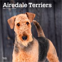 Airedale Terriers 2026 Calendar