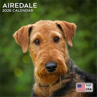 Airedale Terriers 2026 Calendar
