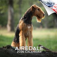 Airedale Terriers 2026 Calendar