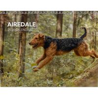 Airedale Terriers 2026 Calendar