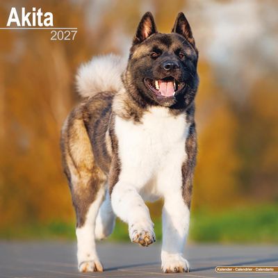 Akita 2027 Calendar