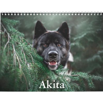 Akita 2027 Wall Calendar