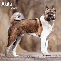 Akita 2026 Calendar