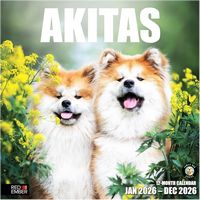 Akitas 2026 Calendar