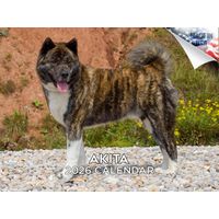 Akitas 2026 Calendar