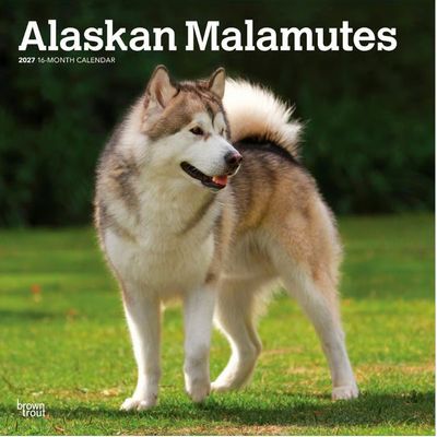 Alaskan Malamute 2027 Calendar