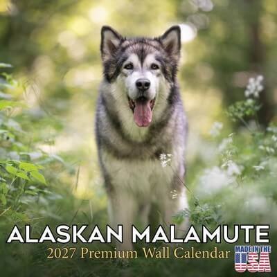 Alaskan Malamute 2027 Calendar