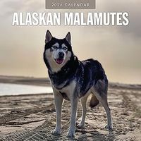 Alaskan Malamute 2026 Calendar