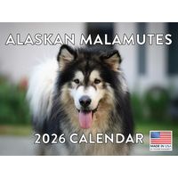 Alaskan Malamute 2026 Calendar