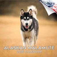 Alaskan Malamute 2026 Calendar