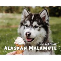 Alaskan Malamute 2026 Calendar