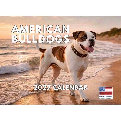American Bulldogs 2027 Calendar