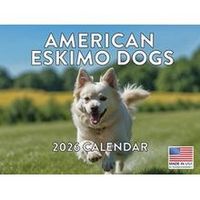 American Eskimo Dogs 2026 Calendar