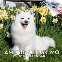 American Eskimo Dogs 2026 Calendar