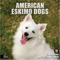 American Eskimo Dogs 2026 Calendar