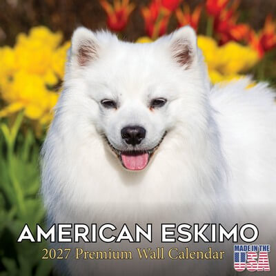 American Eskimo 2027 Wall Calendar