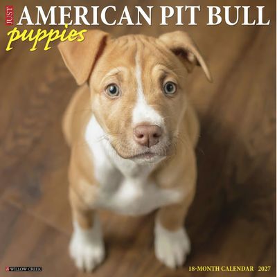 Just American Pit Bull Puppies 2027 Calendar