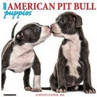 Just American Pit Bull Puppies 2026 Calendar