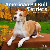 2026 American Pit Bull Terriers Calendar