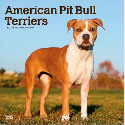 American Pit Bull Terriers 2027 Wall Calendar