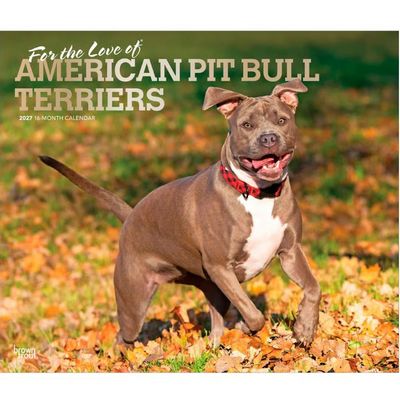 Pit Bull Terriers 2027 Deluxe Wall Calendar