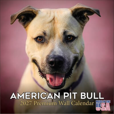 American Pit Bull Terrier 2027 Wall Calendar