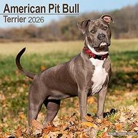 American Pit Bull 2026 Wall Calendar