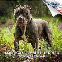 American Pit Bull 2026 Wall Calendar