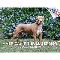 American Pit Bull 2026 Wall Calendar