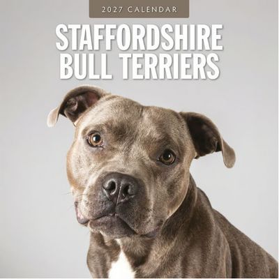 American Staffordshire Terrier 2027 Wall Calendar