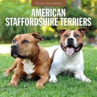 American Staffordshire Terrier 2026 Wall Calendar