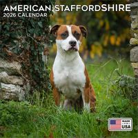 American Staffordshire Terrier 2026 Wall Calendar