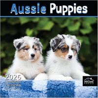 Aussie Puppies 2026 Calendar