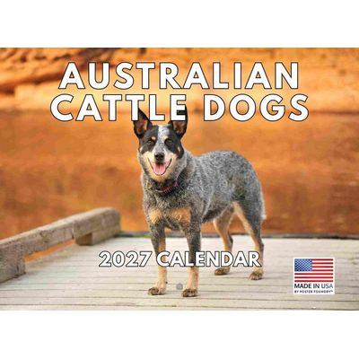 Australian Cattle Dog 2027 Calendar